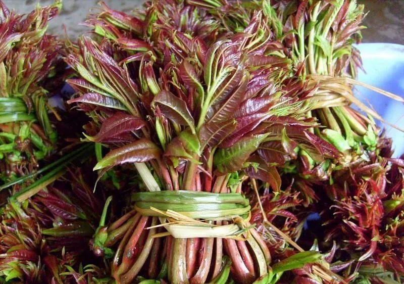 Một số loại rau phải chần qua để loại bỏ độc tố